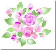 images images